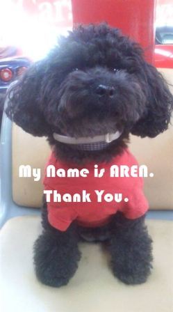 AREN-CHAN-PHOTO