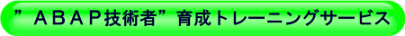 ABAP技術者育成トレーニングサービス