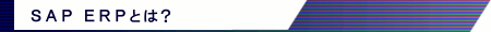 SAP ERPとは？
